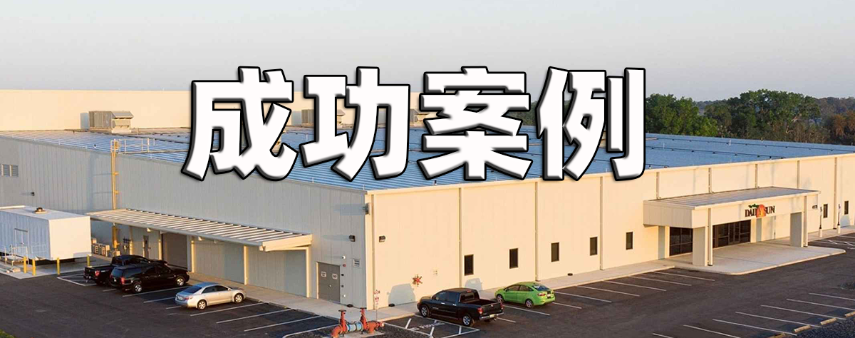 成功案例